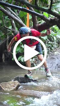 BIB:  <button type="button" onclick="openModal(27824692)" class="btn btn-primary btn-sm float-right" data-toggle="modal" data-target=".modal-high-quality">
                <i class="fa fa-download"></i> Download
                </button>